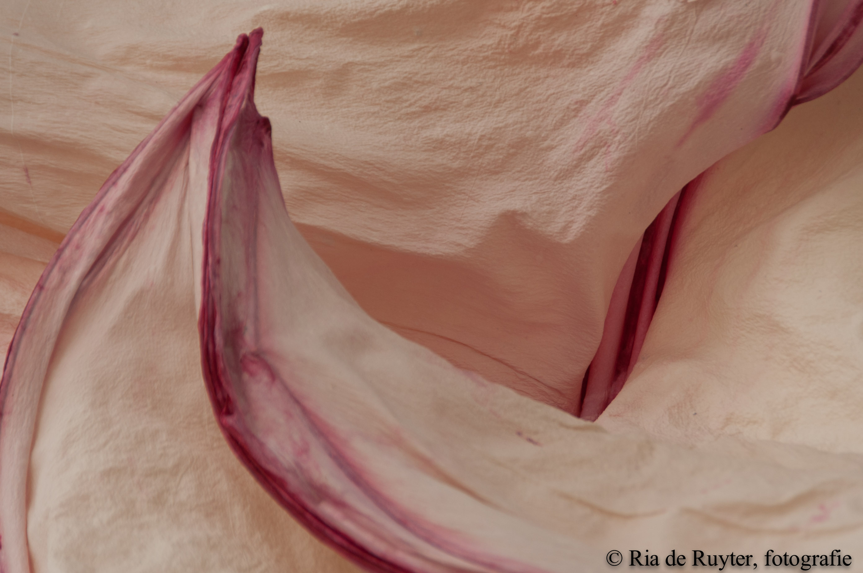 artzaanstad detail kunstwerk-5849.jpg